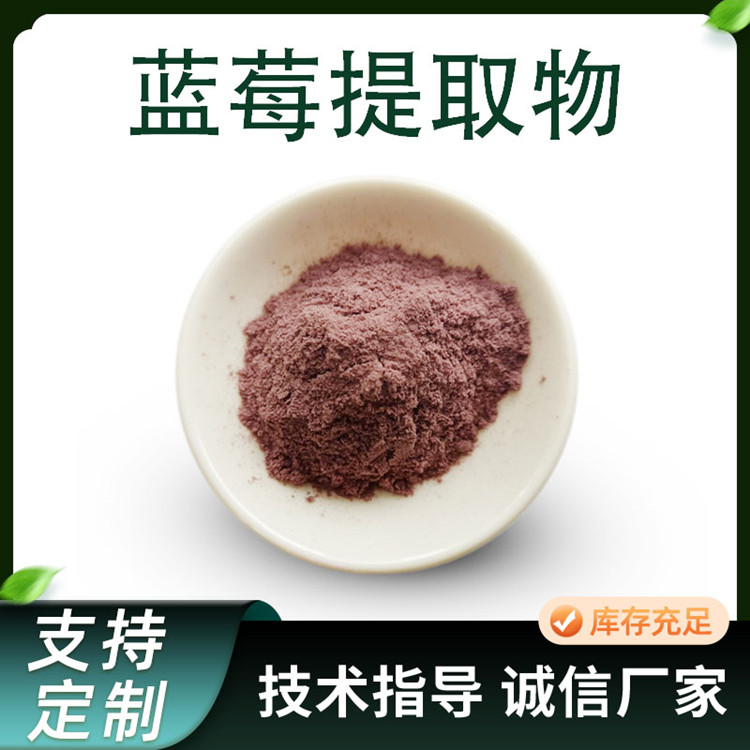 蓝莓提取物 蓝莓果粉 固体饮料 食品级原料 果蔬粉 规格多 1kg 起订