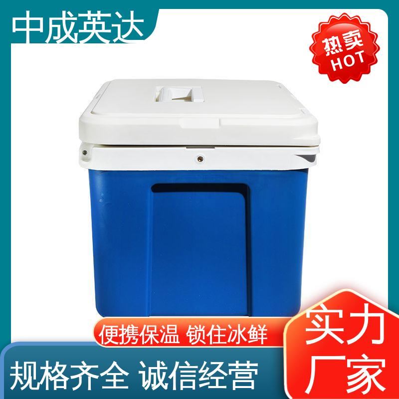车载控温恒温箱 小巧方便 WYC-6便携式冷藏箱 药品保鲜专家 中成英达