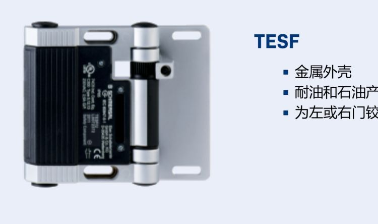 施迈赛TESF/S/ST24.2/U 项目编号 101182740 安全铰链开关
