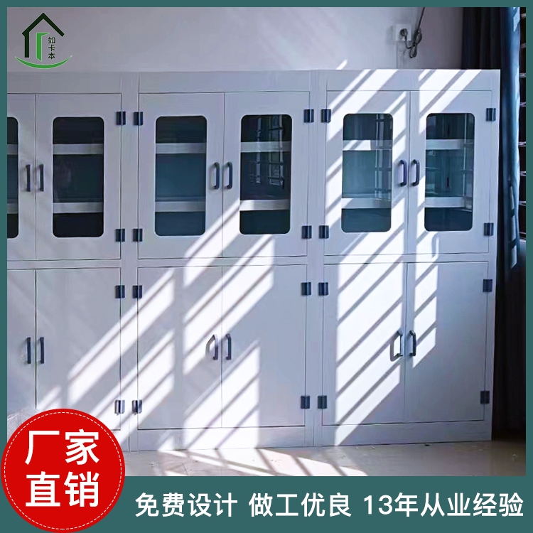 净化室定制PP试剂柜 器皿柜 实验室用品 功能柜