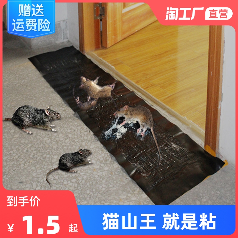 老鼠粘强力粘鼠板捉粘大老鼠贴沾胶抓超强灭鼠家用捕鼠器老鼠夹