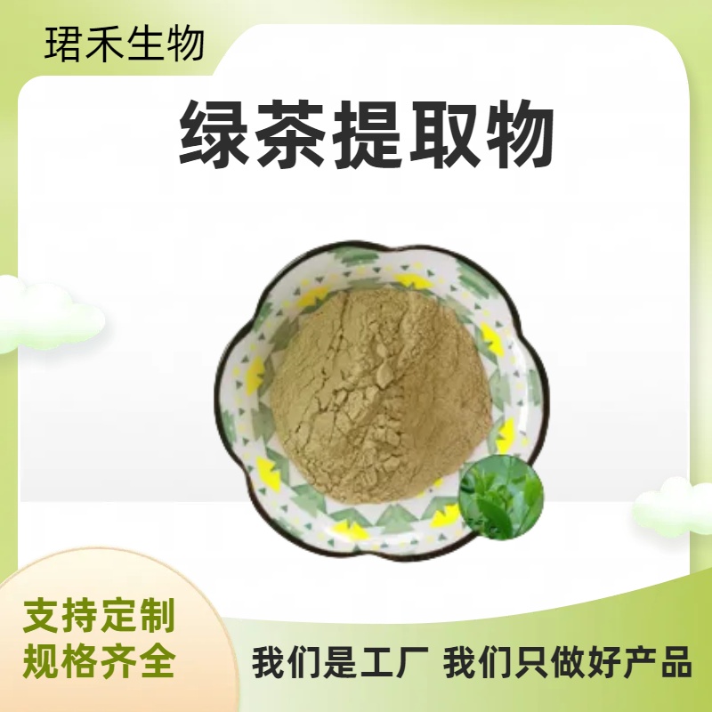 绿茶提取物 10:1浓缩浸膏粉 溶解性好 可多规格定制 可开发票