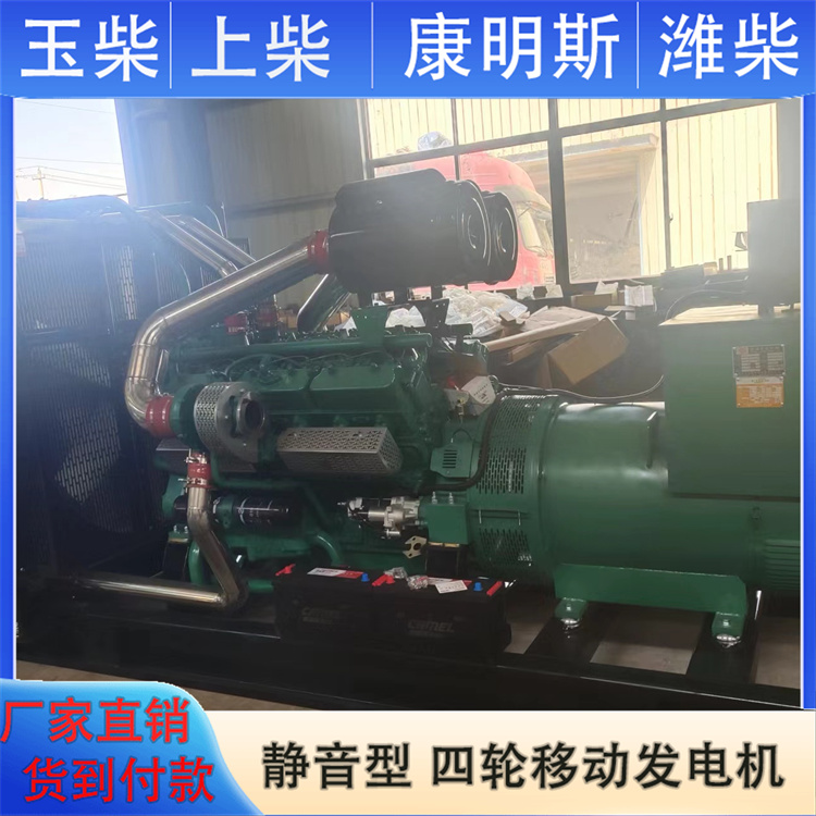 伟隆 200KW柴油发电机 全国发货 工业级电站备用机组 防雨罩型