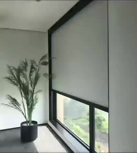 视频