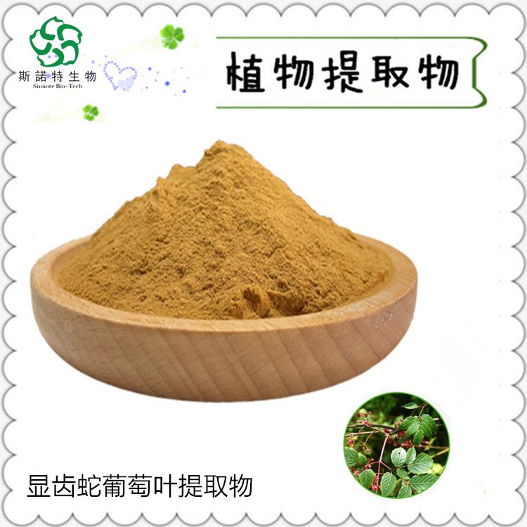 斯诺特 显齿蛇葡萄叶提取物 原料 食品级 另有浸膏供应
