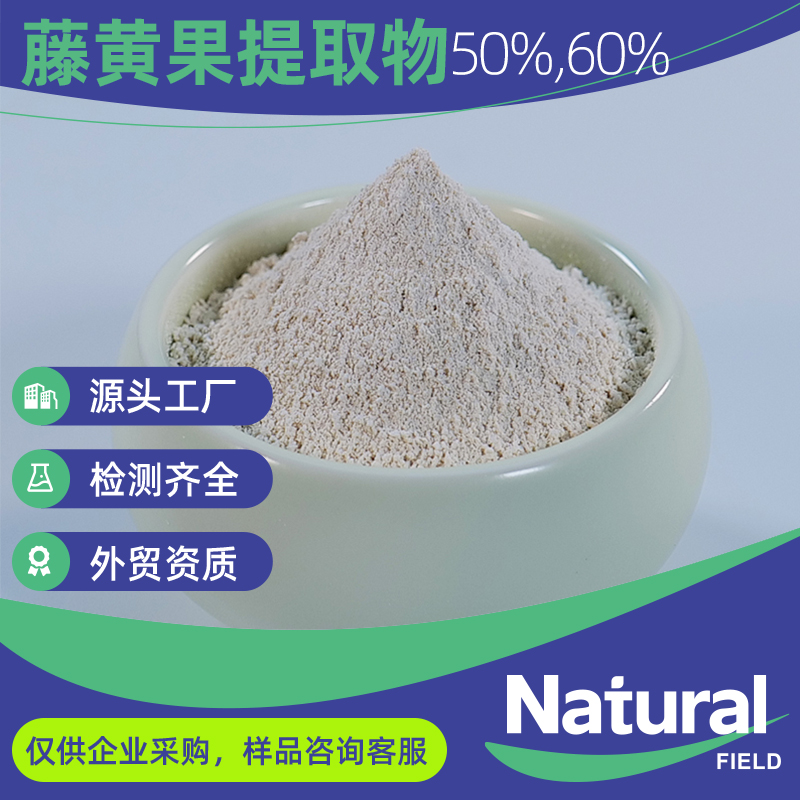 藤黄果提取物 羟基柠檬酸60% HCA 藤黄果粉厂家供应藤黄果
