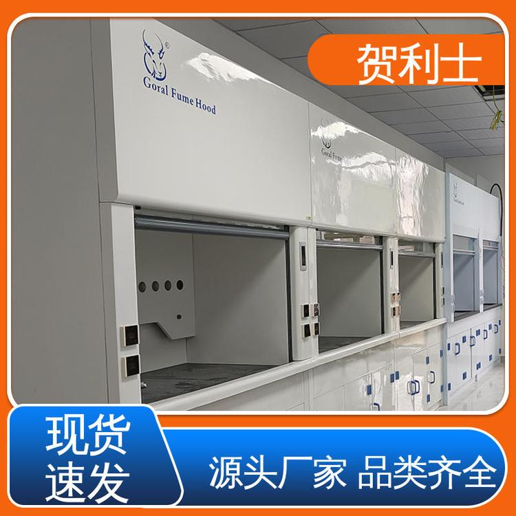 贺利士 检测专用通风柜 品类齐全 质量保障 结构牢固可靠 耐高温