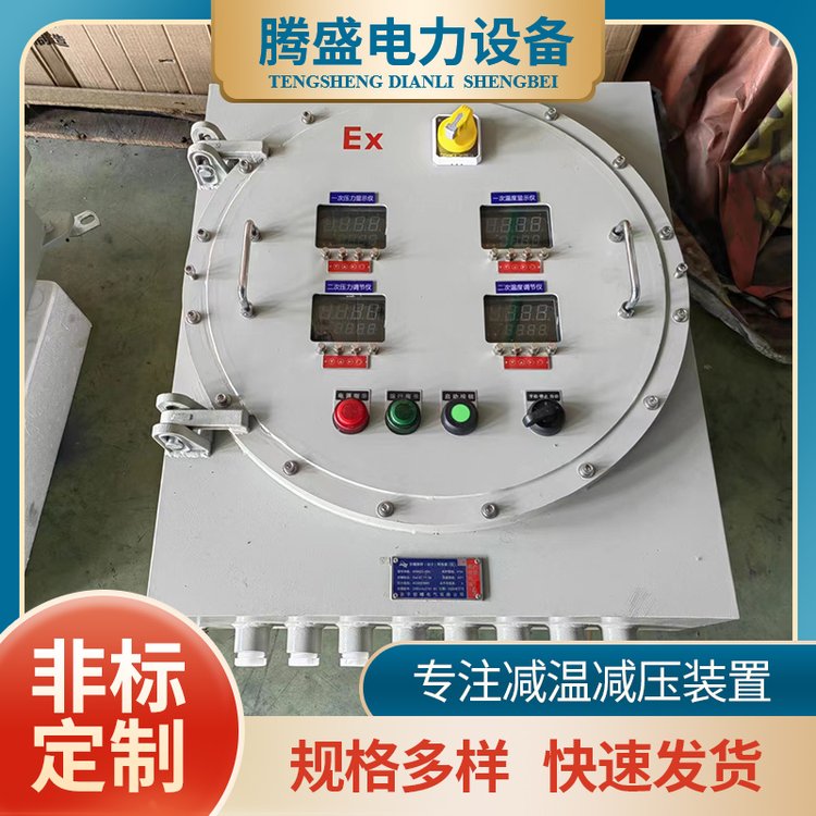 腾盛 化工厂防爆柜 电气控制柜 不锈钢立式控制箱 可按需定制