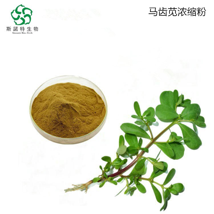 斯诺特 马齿苋浓缩粉 植物萃取 精细粉末 食品饮料通用