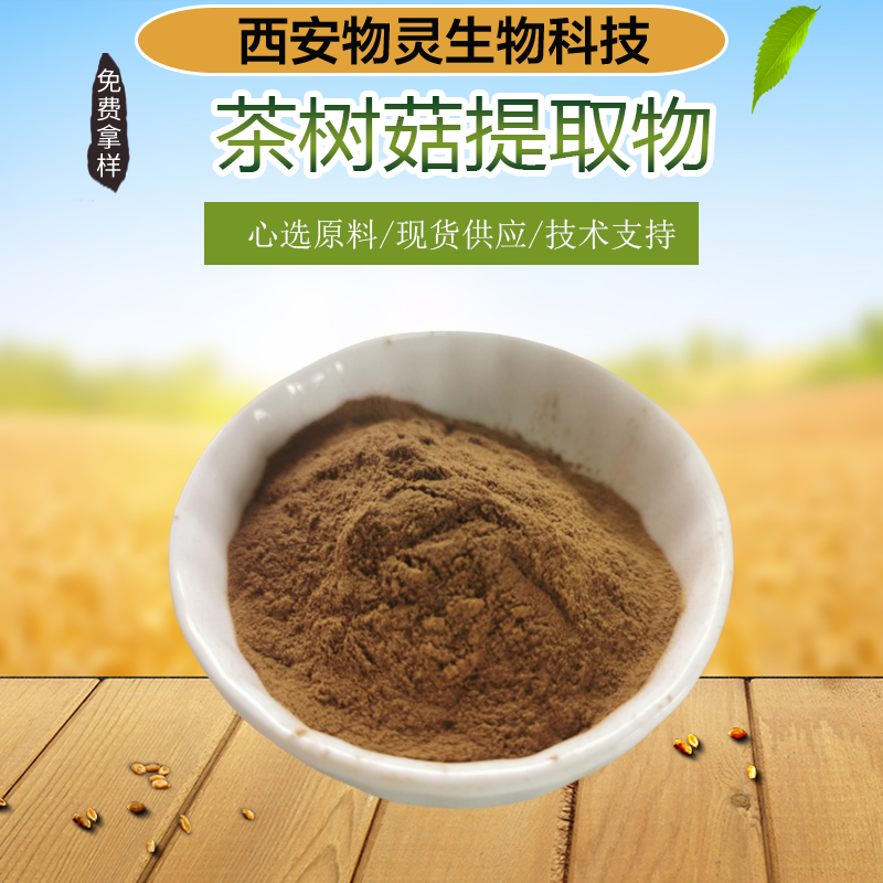 茶树菇提取物 水溶植物萃取 含多糖 食品级原料 喷干粉 SC证 物灵生物