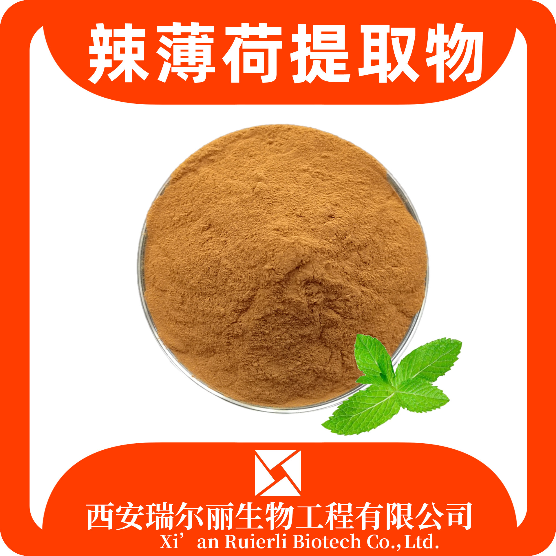 辣薄荷提取物10：1 辣薄荷粉 速溶浓缩 比例可定制 现货速发