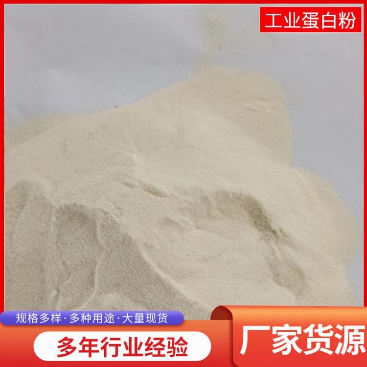 厂家直供动物蛋白粉 具有广泛的应用前景 腻子粉添加用