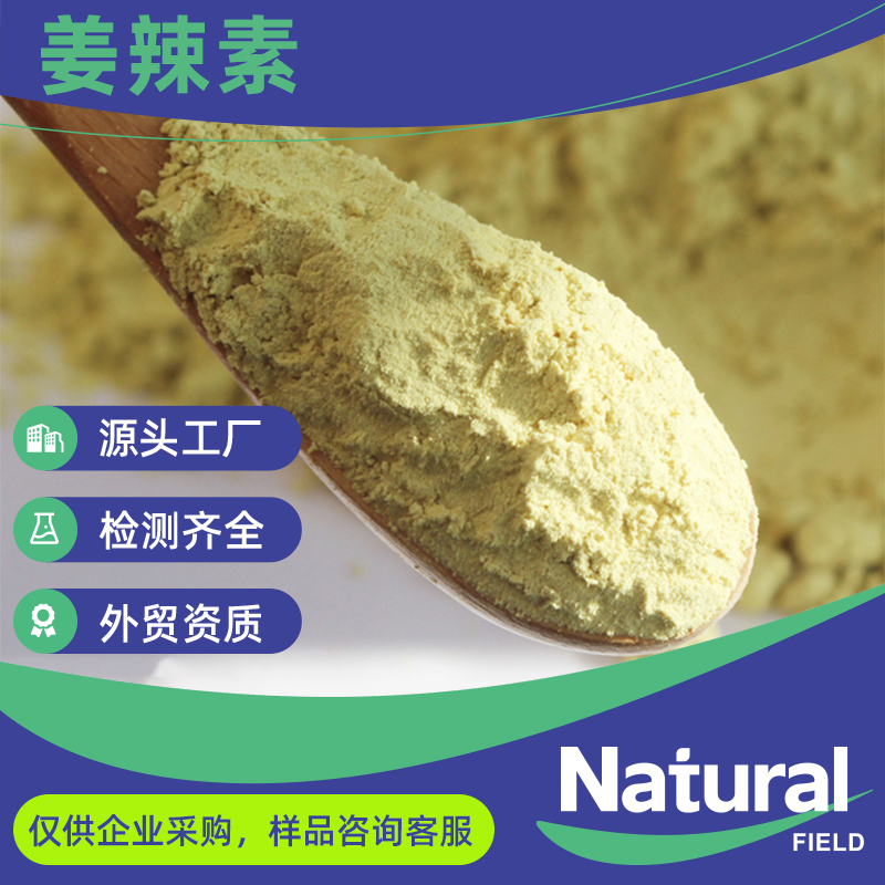 天丰生物生姜提取物 现货可出口水溶性生姜粉食品原料姜辣素5%