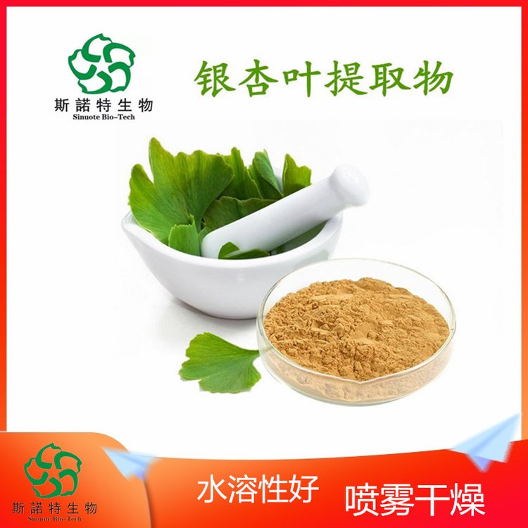斯诺特 银杏叶提取物 规格10:1 浓缩粉 常年供应