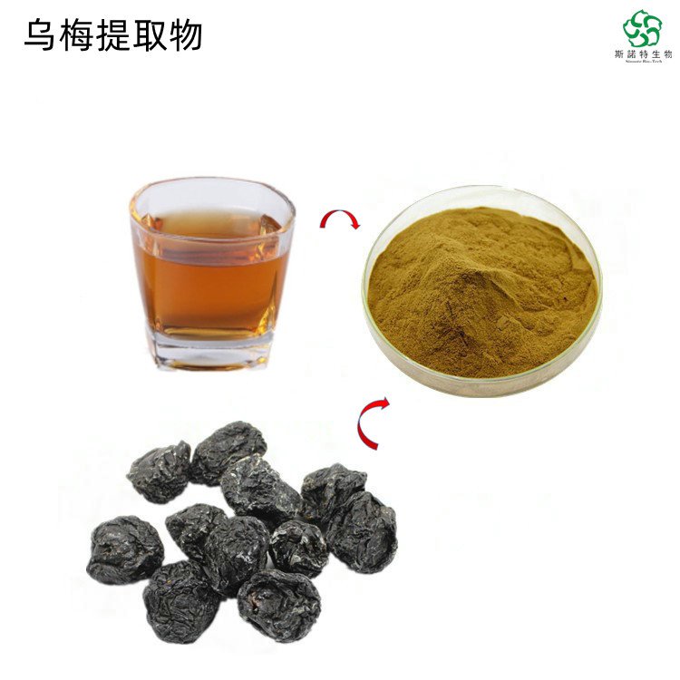 乌梅提取物 近成熟果实 浓缩萃取 梅实粉 精细粉末