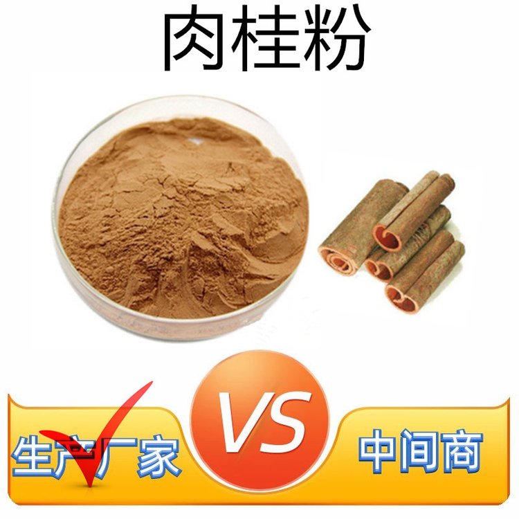 水溶性肉桂粉 斯诺特 喷雾干燥工艺 库存充足 商检备案