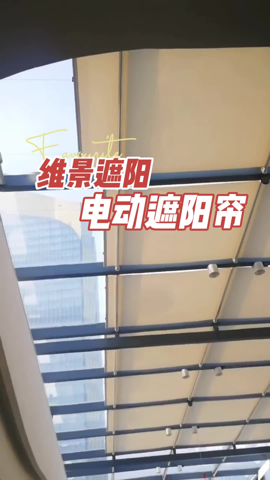 视频