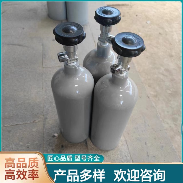 气体生产厂家 江 岸二七 环境监测标气 多种规格 万润达