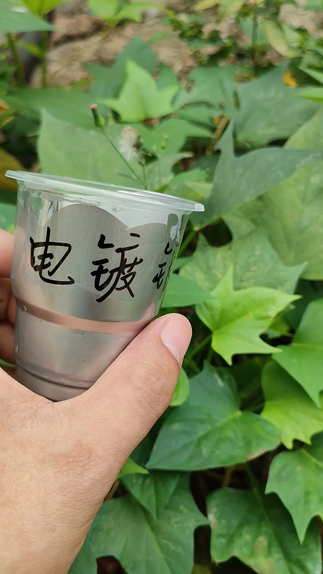 视频