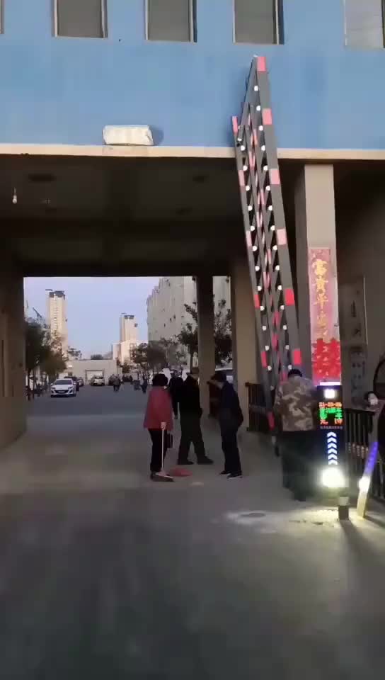 视频