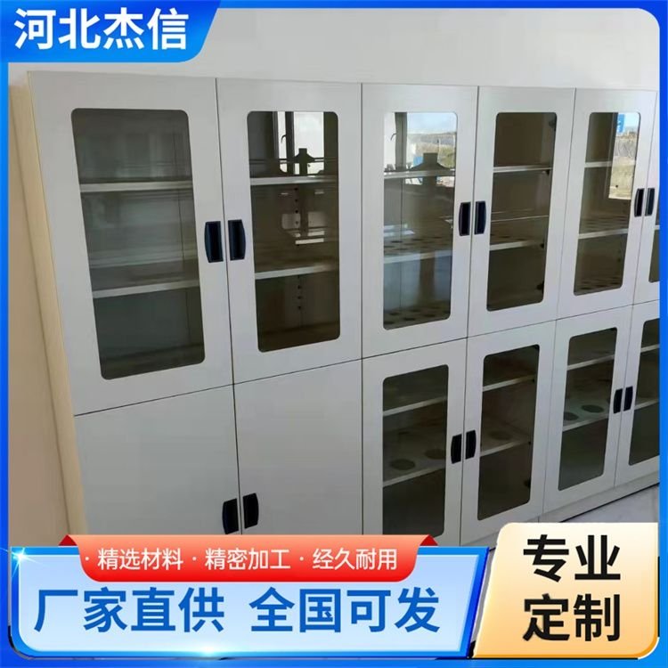 加工全钢试剂柜 酸碱柜药品危化品柜 造型美观 服务优良