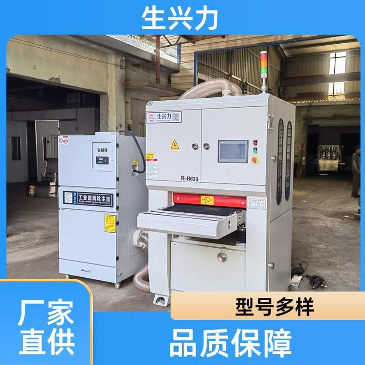 金属表面处理机 全自动去毛刺机 智能 选材优良 生兴力RR630