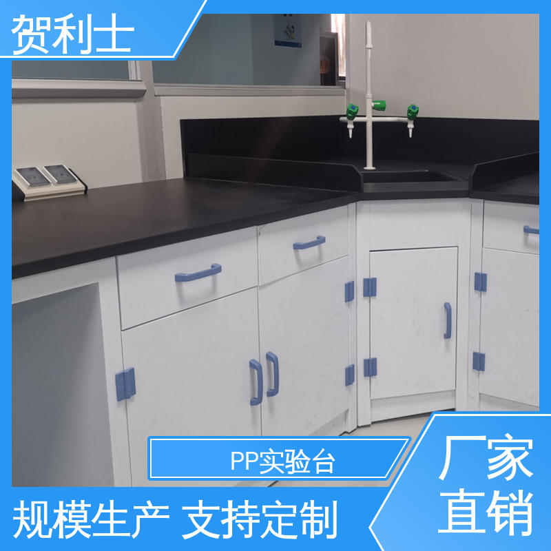 贺利士 pp实验家具 化学PP实验台 食品药品生产研发 按需定制加工