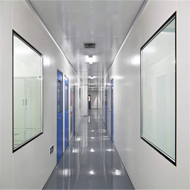 LUMI 百级无尘洁净室 恒温恒湿实验室生物制药车间