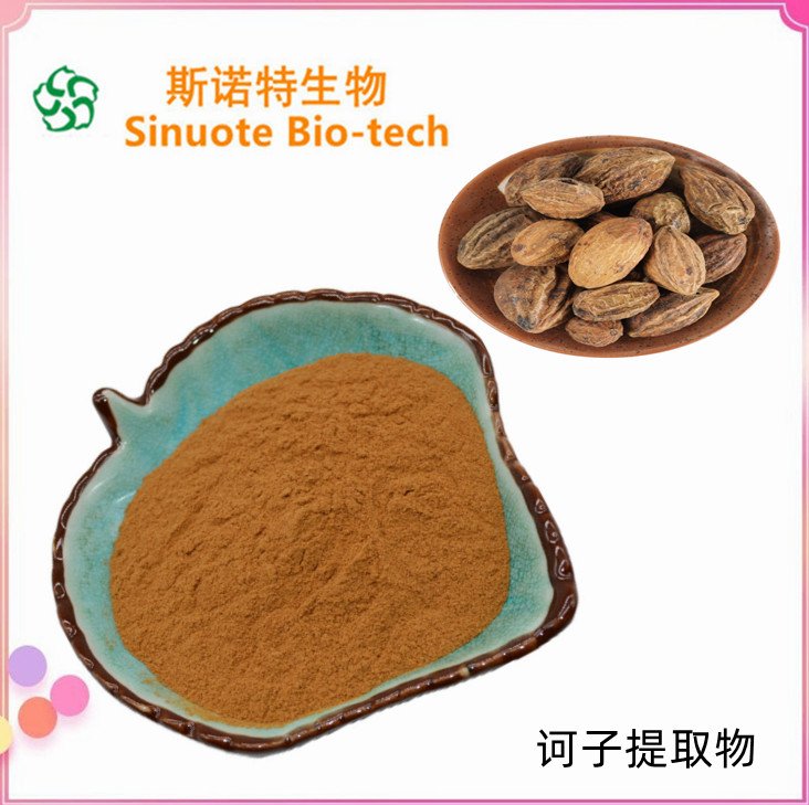 诃子提取物 30:1 粉状 容易保存 溶于水 斯诺特 植提老厂