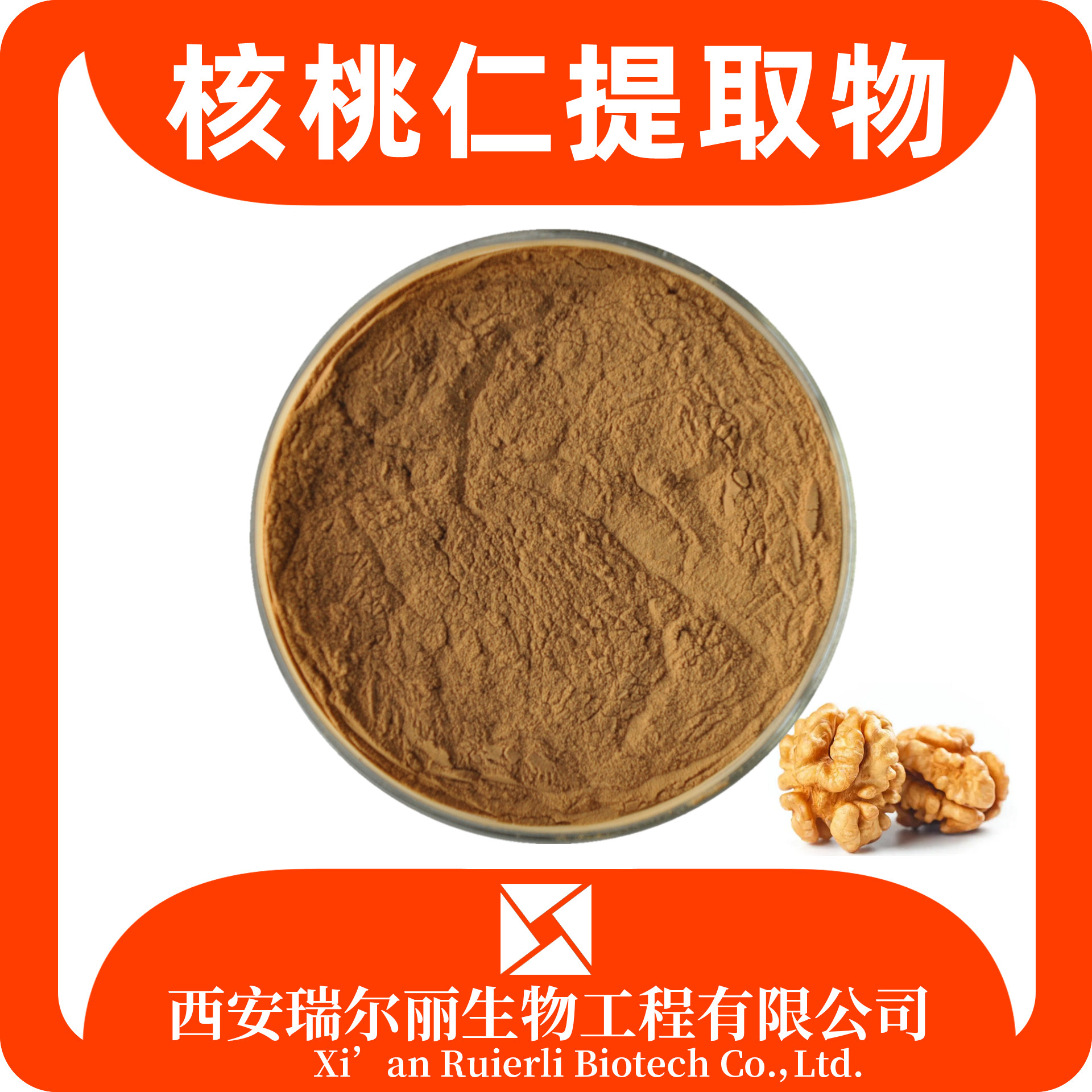 核桃仁提取物 10:1 水溶 核桃仁粉 固体饮料 食品原料 SC证 瑞尔丽生物