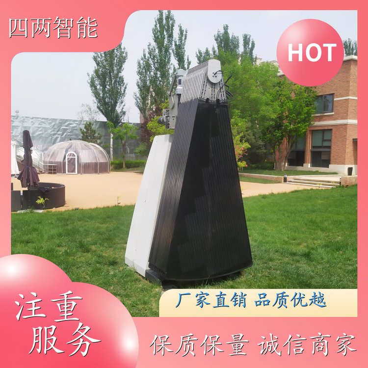 四两智能 庭院 太阳能光伏花 在线统计设备发电量 做工精细