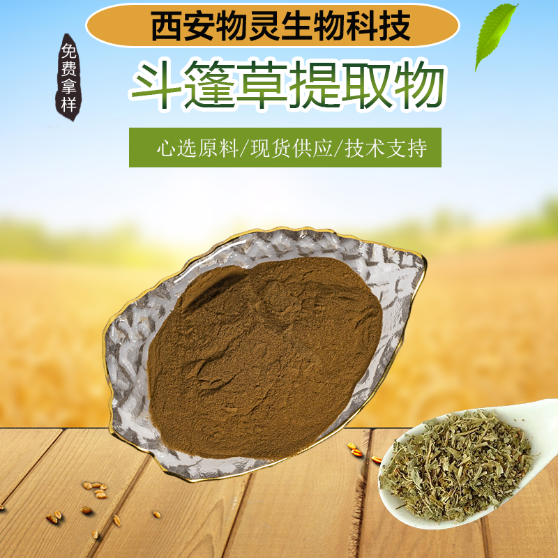 斗篷草提取物10:1 多种规格 羽衣草浓缩粉 喷雾干燥 溶解性好 物灵生物