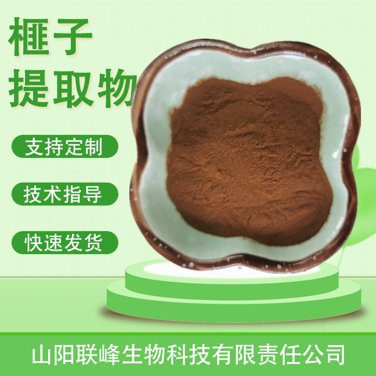 榧子提取物 水溶香榧粉 速溶浓缩浸膏粉 食品原料 多规格
