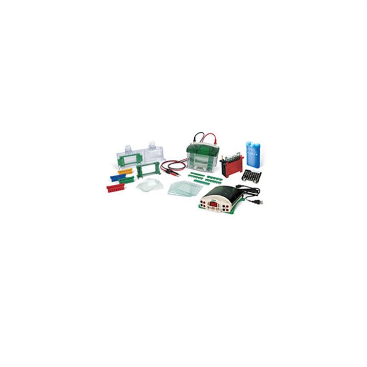 伯乐 Bio-Rad 蛋白电泳套装 垂直电泳仪 1658033 垂直板电泳槽