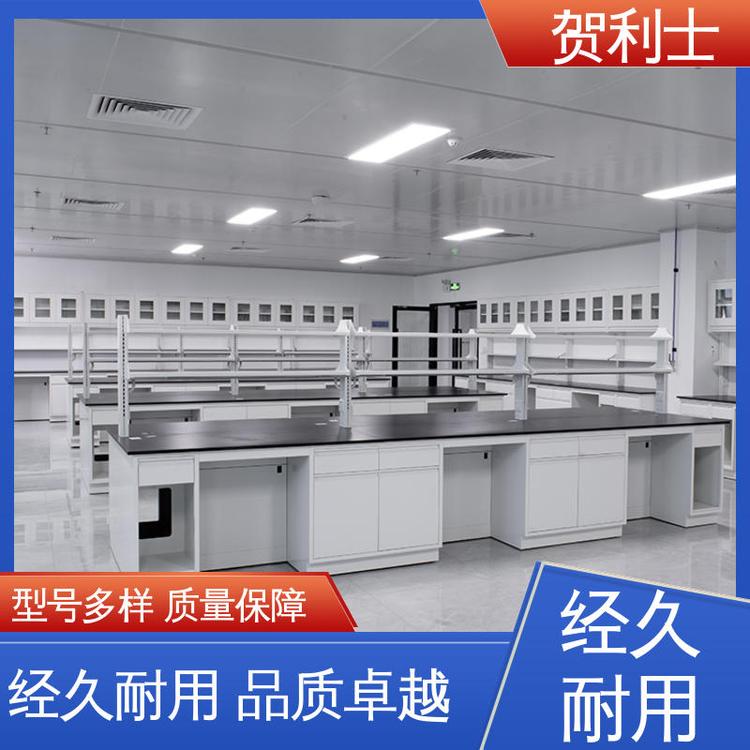 坚固实用 承重力强 品类齐全 质量保障 全钢实验家具 贺利士