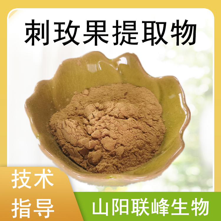 刺玫果提取物 10：1水溶浓缩粉 刺玫果皂甙 食品级原料 1公斤起订