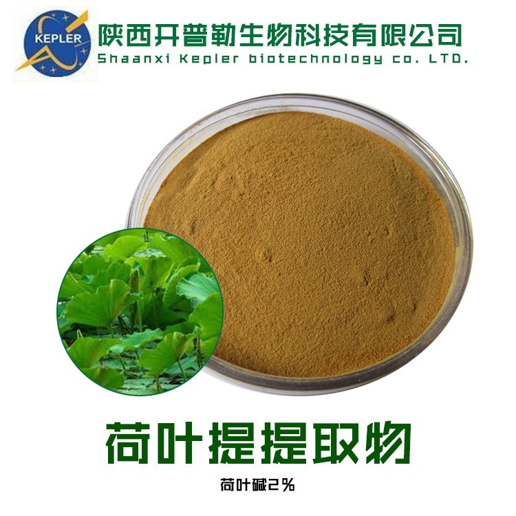 荷叶提取物 生物碱 植物黄铜 水溶浓缩粉 保健食品固体饮料工厂