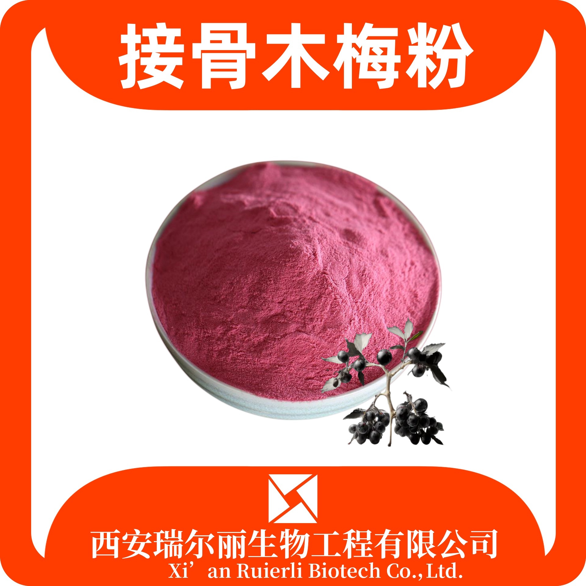 接骨木梅粉 速溶骨木梅提取物 精选原料 源头工厂 食品级 现货速发