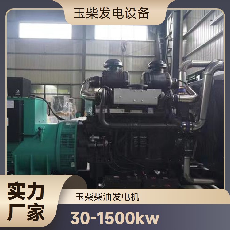 玉柴 操作简单方便 工程生活应急备用 250KW柴油发电机
