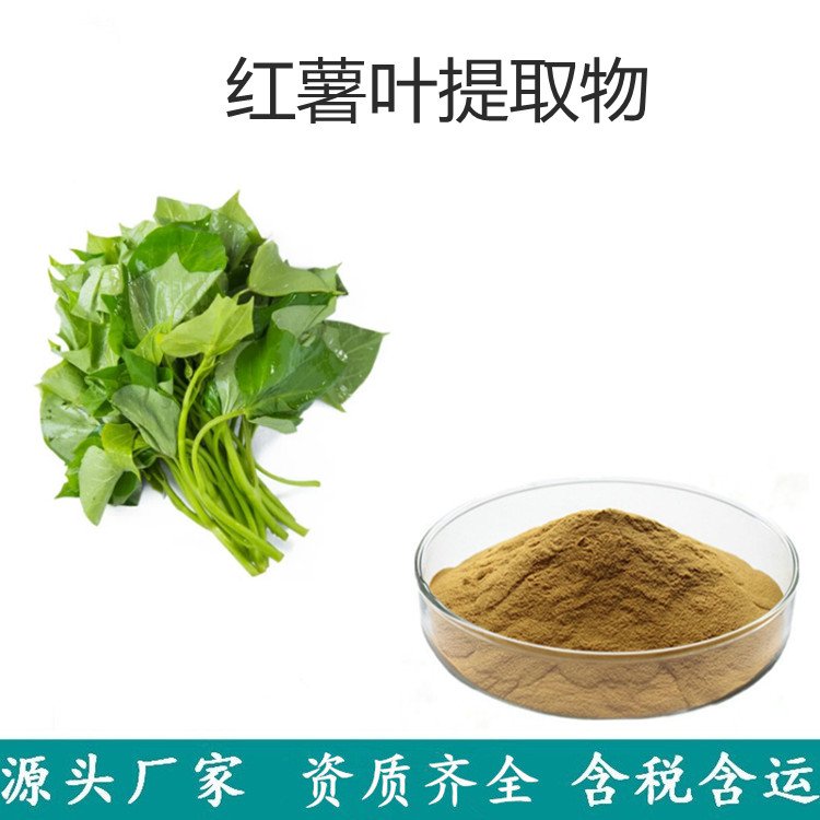 斯诺特生物 全水溶红薯叶提取物 一公斤可拆包打样代餐粉