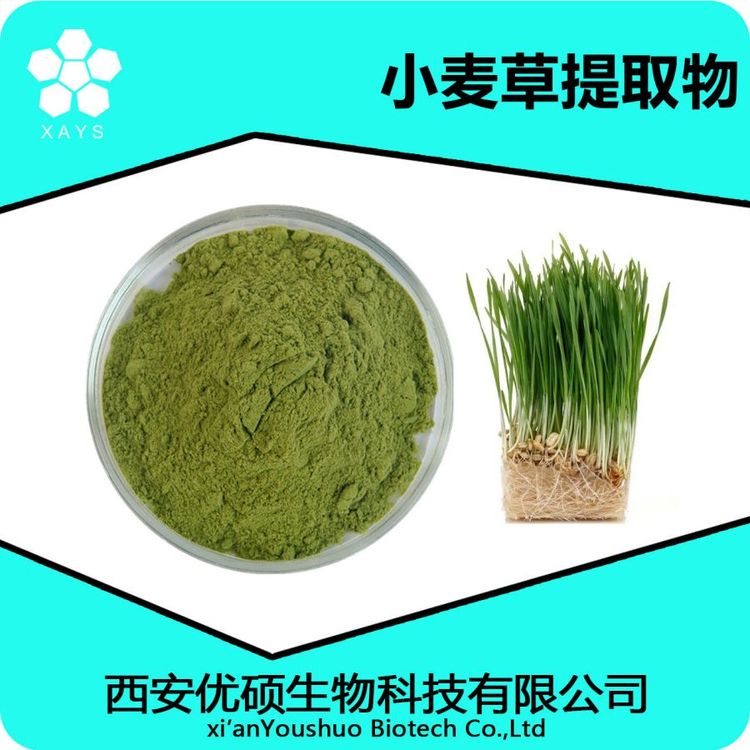 小麦草提取物 小麦草粉 浓缩粉 可塑性高 应用领域广泛 优硕生物