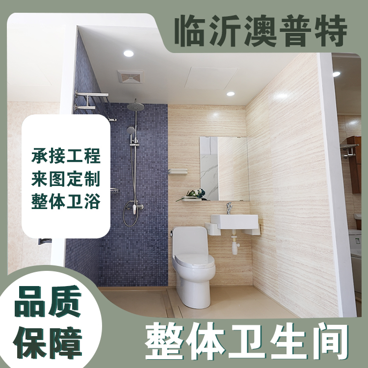整体淋浴房一体式集成卫生间家用宾馆沐浴房马桶浴室