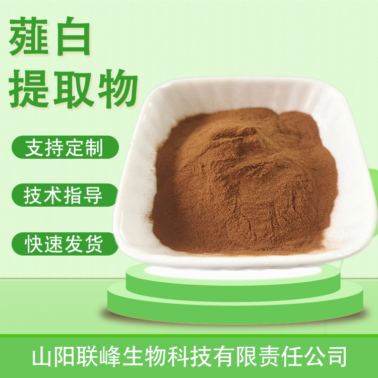 食品级薤白提取物 10：1薤白浓缩粉 小蒜粉 植物提取原料 喷雾干燥