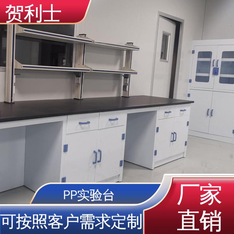 贺利士 实验室pp工作台 PP实验台柜 适用于医疗卫生 按需定制