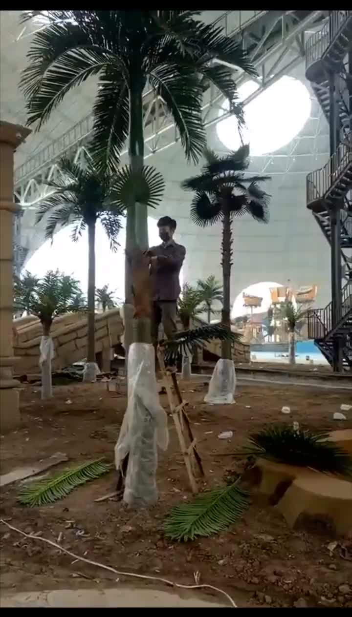 视频