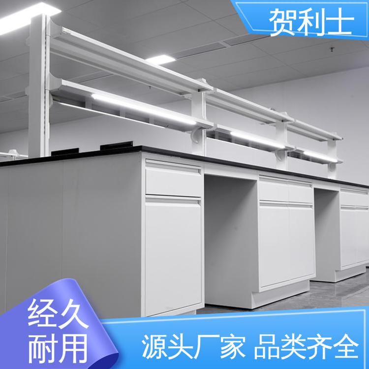 全钢实验台 经久耐用 品质卓越 科研院校制药 耐腐蚀 贺利士