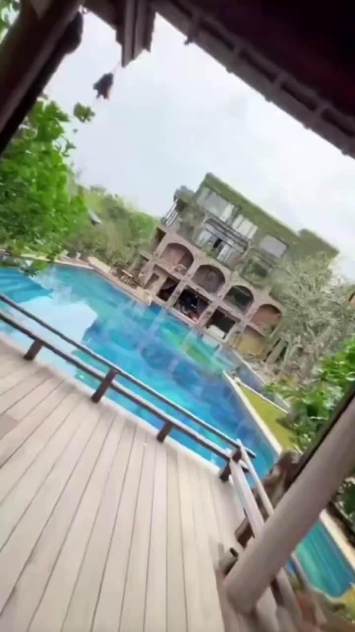 视频