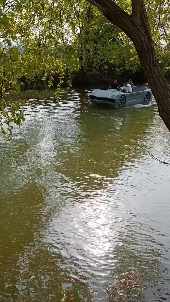 视频