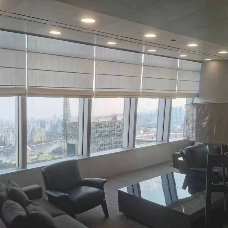 定制电动罗马帘 医用防火 实验室专用 专用迷彩布罗马帘