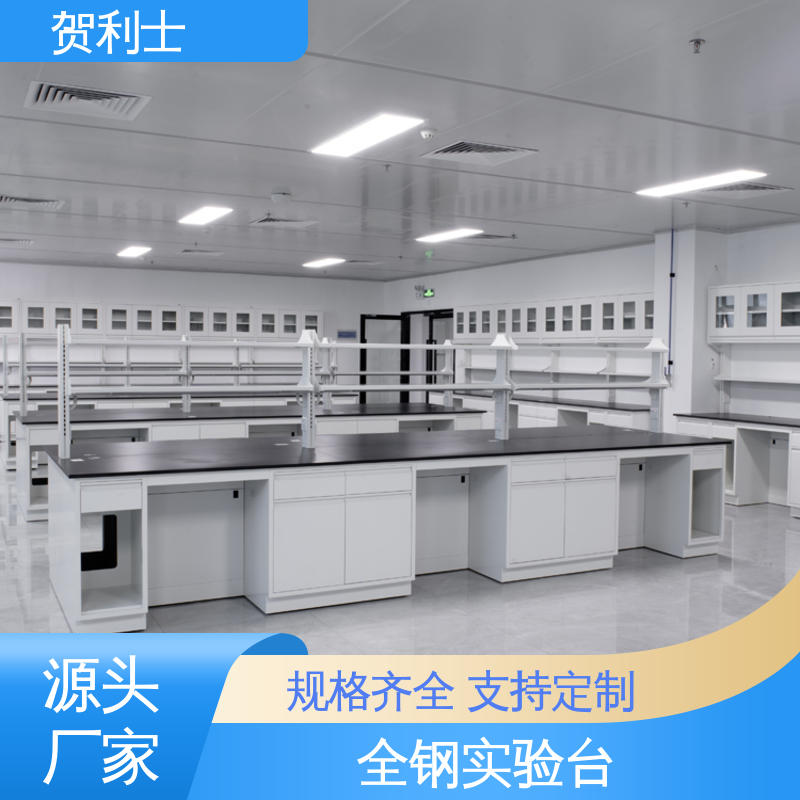 贺利士 耐高温 全钢中央台 学校用试验台 支持定制